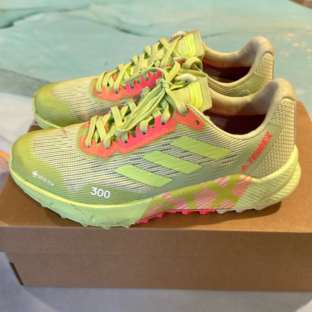 Adidas Terrex Agravic Flow 2 GTX Trail Running shoes